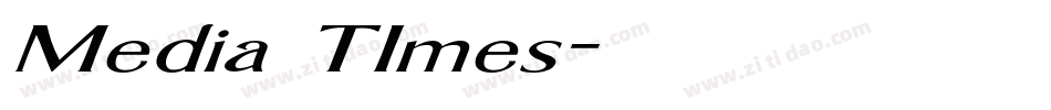 Media TImes字体转换